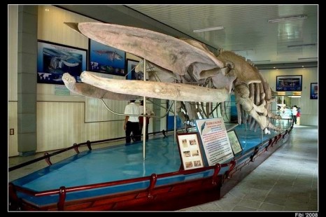 Tour Du Lịch Việt Nam (Nam - Trung - Bắc) - Campuchia 21 Ngày 20 Đêm